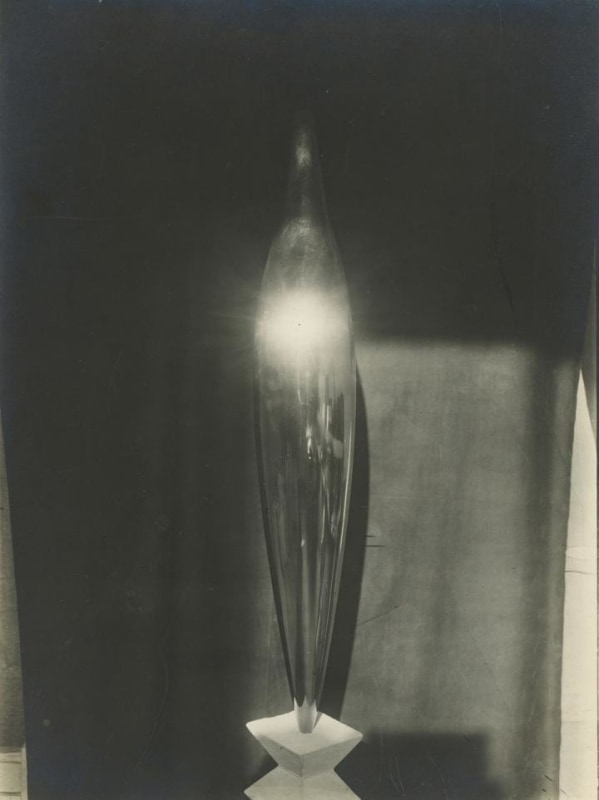 , Constantin Brancusi