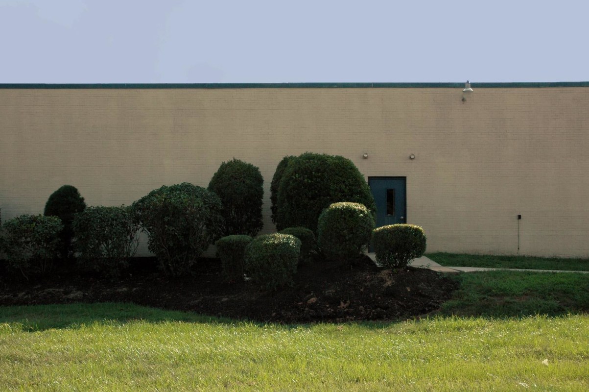 Zoe Strauss -
Bushes in Front of Tech School, 2001-2006 | Bruce Silverstein Gallery