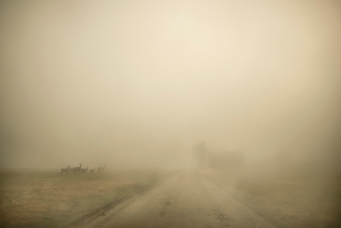 Todd Hido - #11798-3574, 2017 | Paris Photo 2018 | Bruce Silverstein Gallery