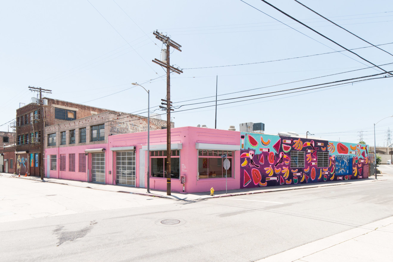 Installation view of Katherine Bernhardt: Fruit Salad, Venus Over Los Angeles, Los Angeles, 2015