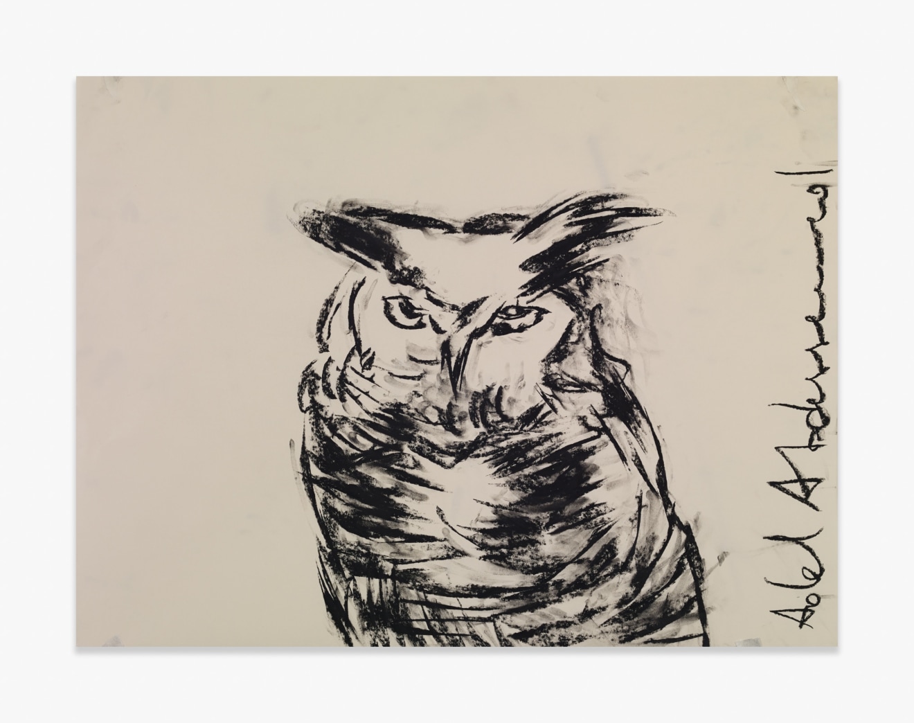 Adel Abdessemed Owl, 2015