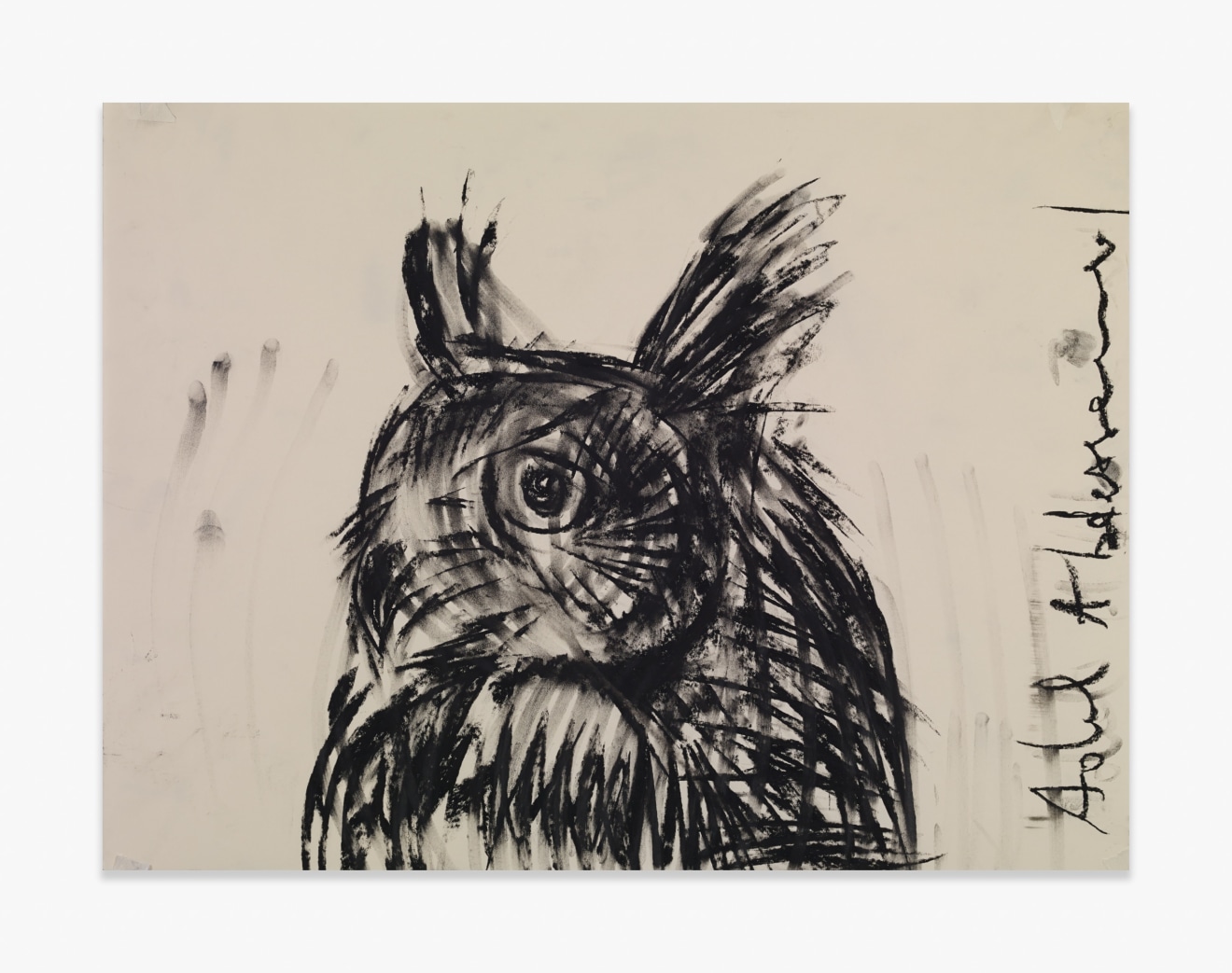 Adel Abdessemed Owl, 2015