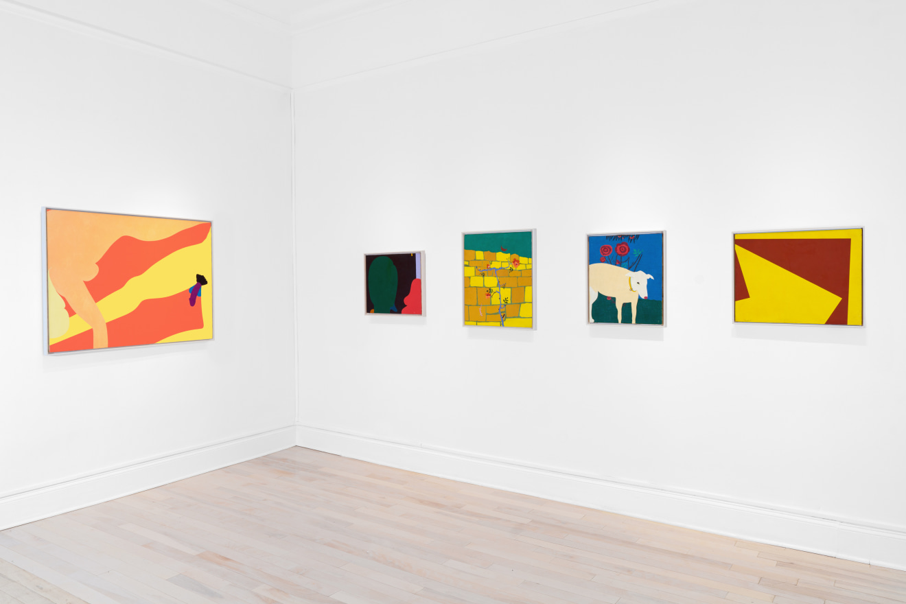 Installation view of Emanuel Proweller Surface Sensible at Venus Over Manhattan New York