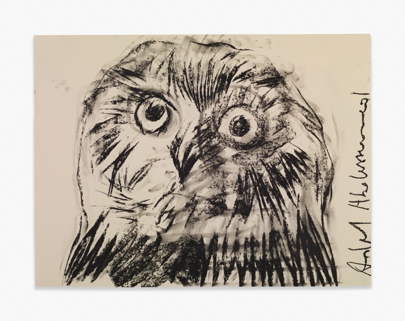 Adel Abdessemed Owl, 2015