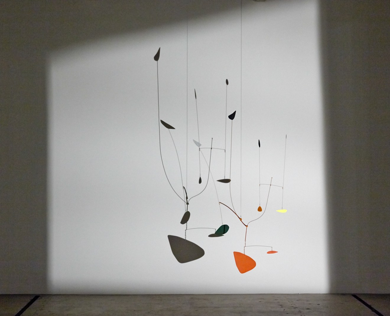 Calder Shadows Untitled