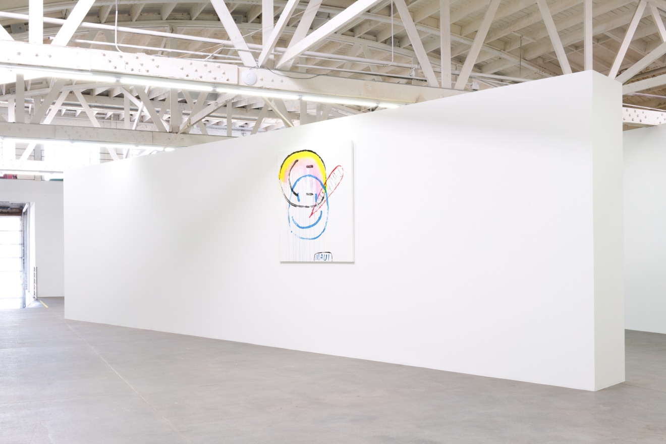 Installation view of Dan McCarthy, Los Angeles, Venus Over Los Angeles, 2015