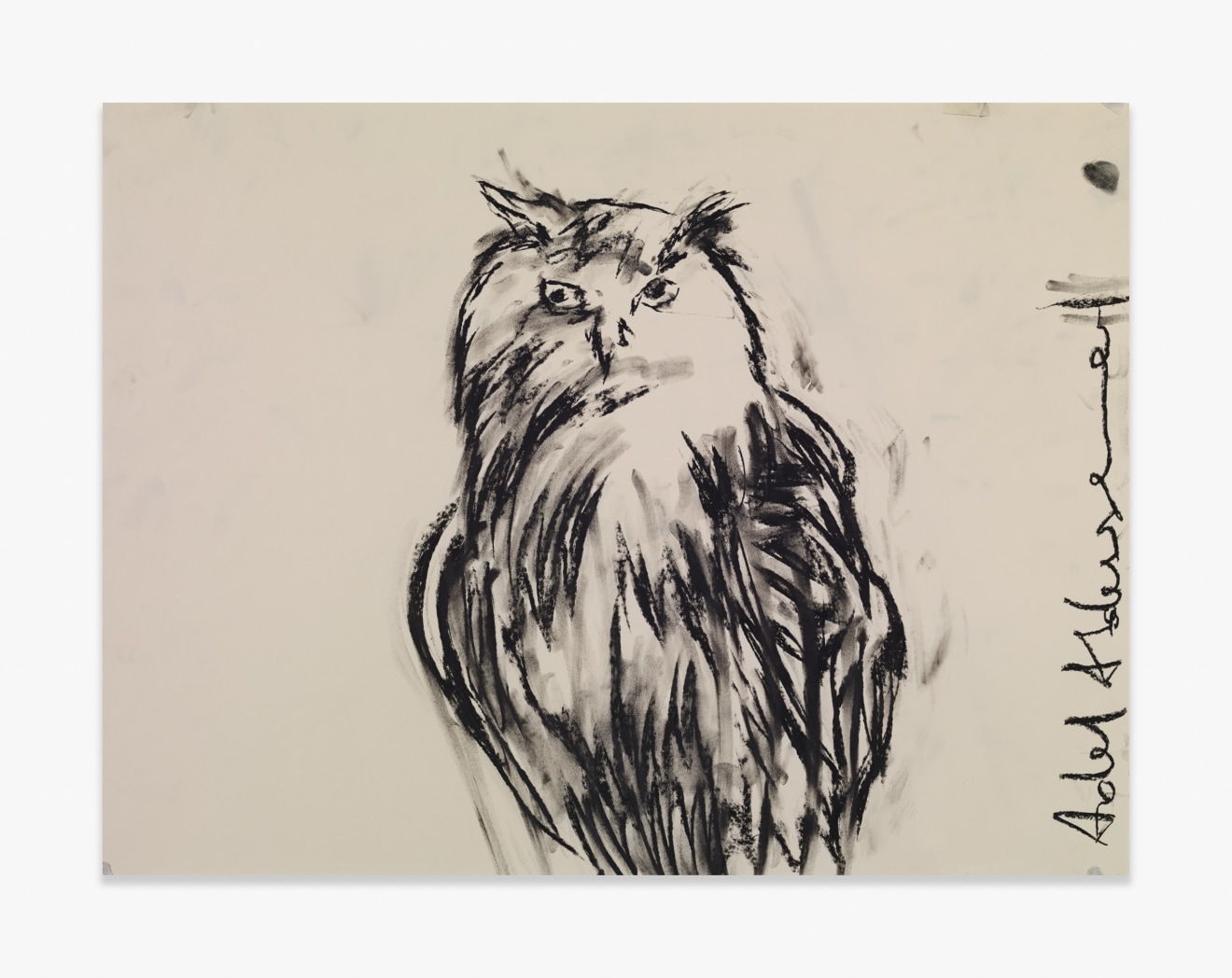 Adel Abdessemed Owl, 2015