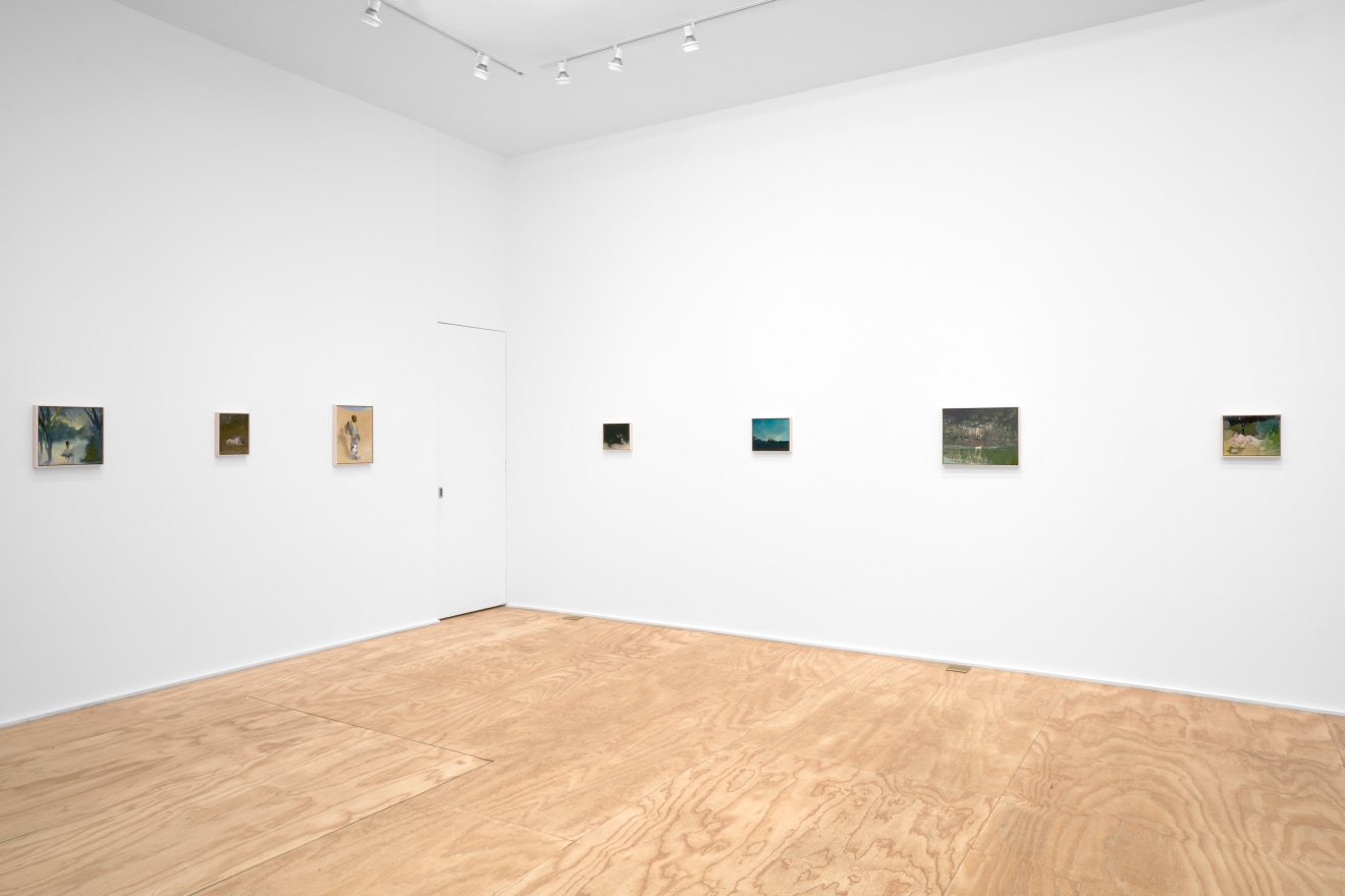 Installation view of Seth Becker's exhibition titled A Boy's Head at Venus Over Manhattan in New York