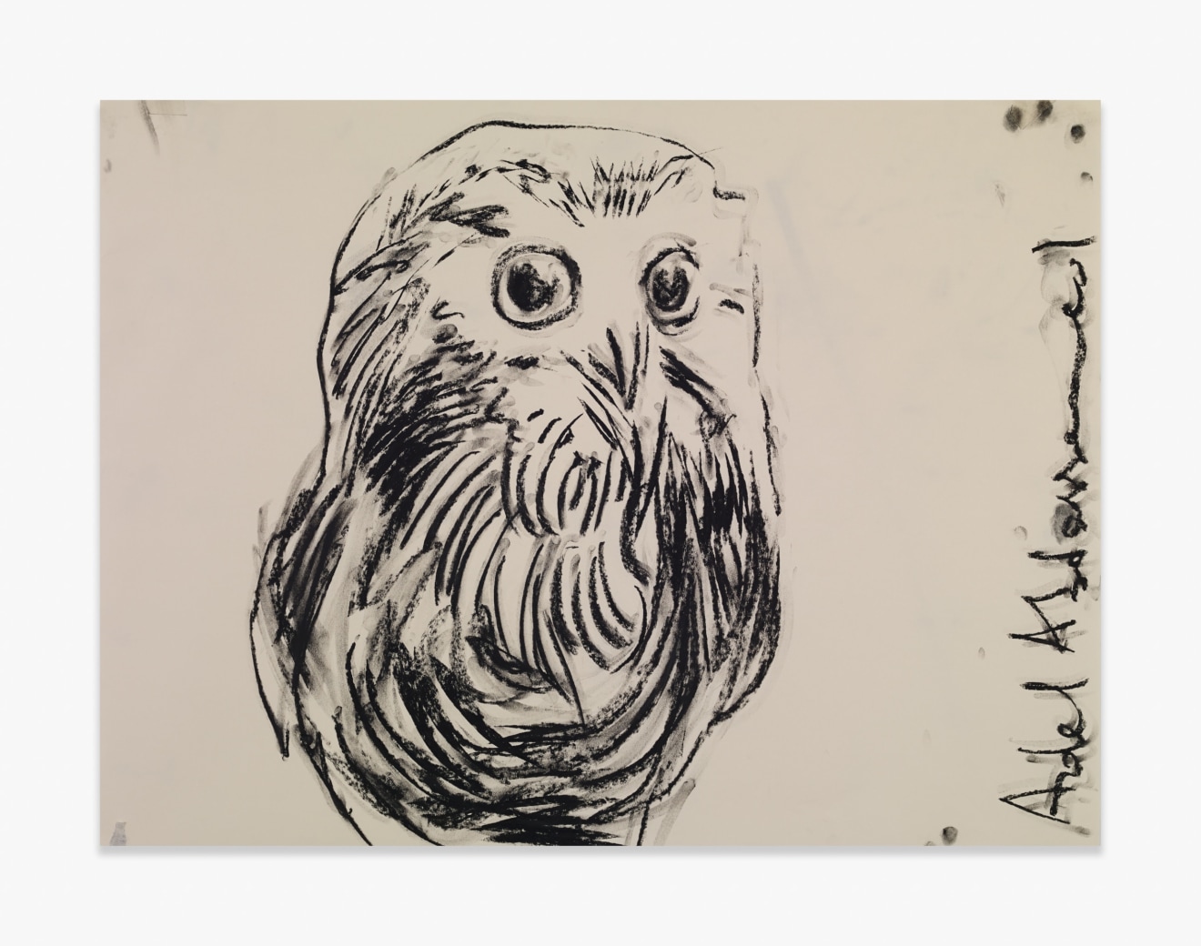 Adel Abdessemed Owl, 2015