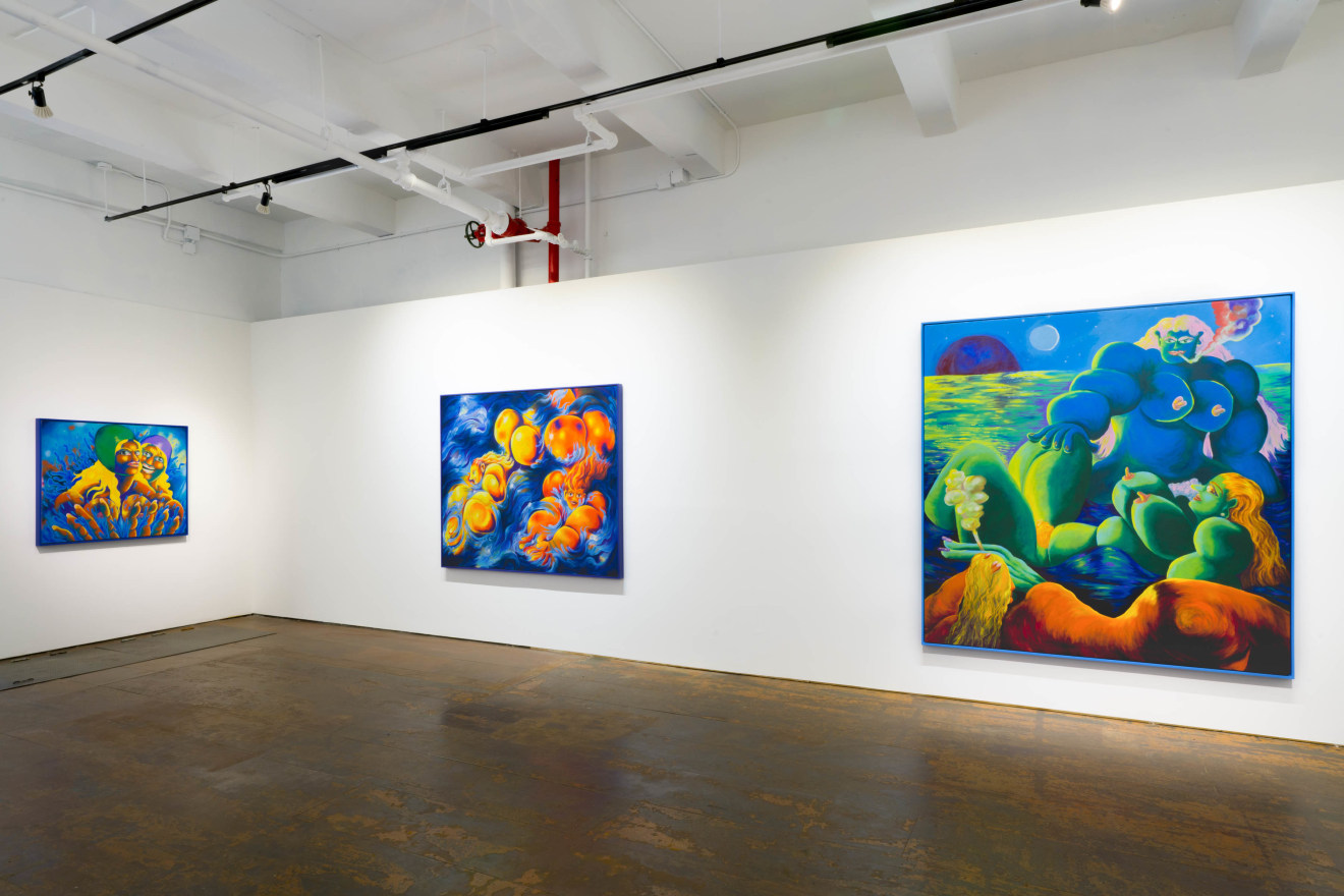 Installation view of Ana Benaroya: Swept Away at Venus Over Manhattan, New York