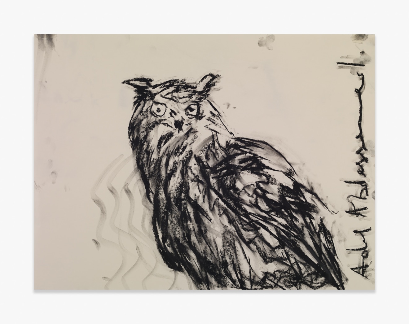 Adel Abdessemed Owl, 2015