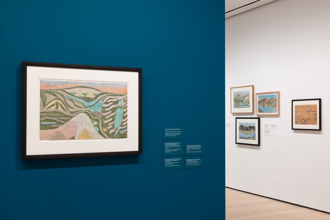 Installation view of&nbsp;Joseph E. Yoakum: What I Saw Museum of Modern Art