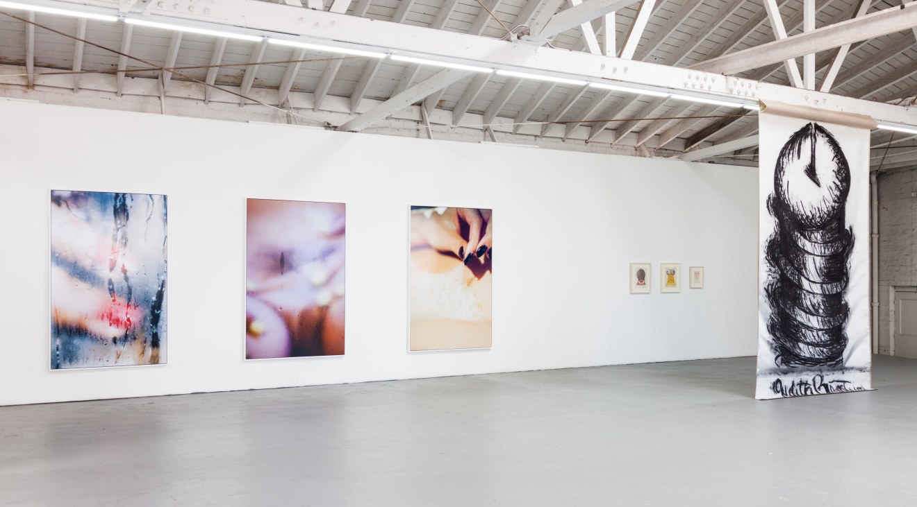 Installation view of CUNT, Los Angeles, Venus Over Los Angeles, 2017