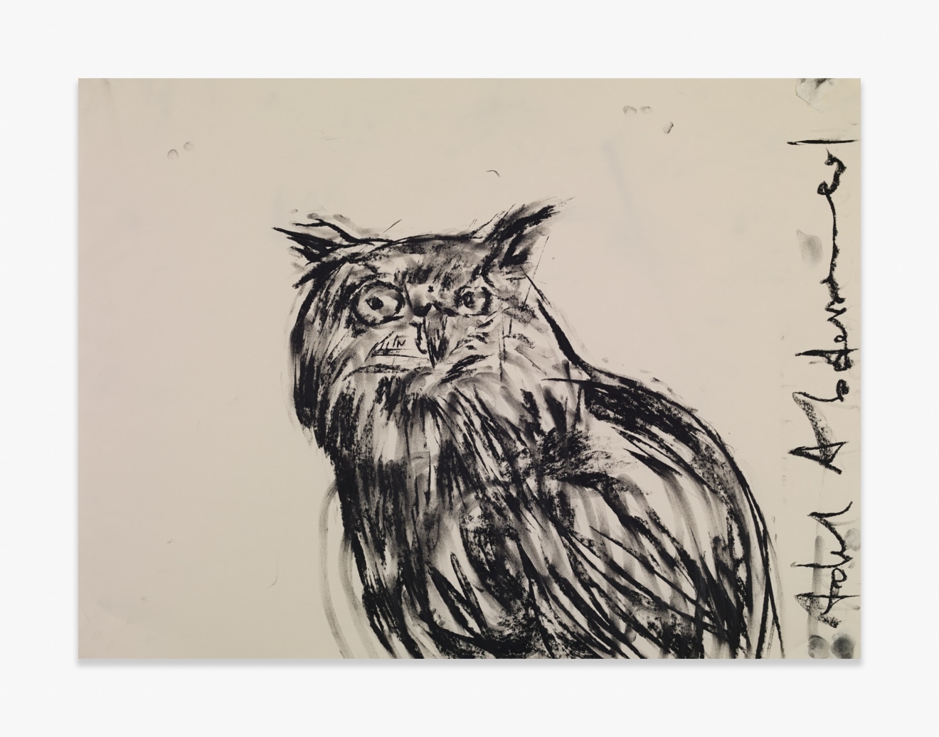 Adel Abdessemed Owl, 2015