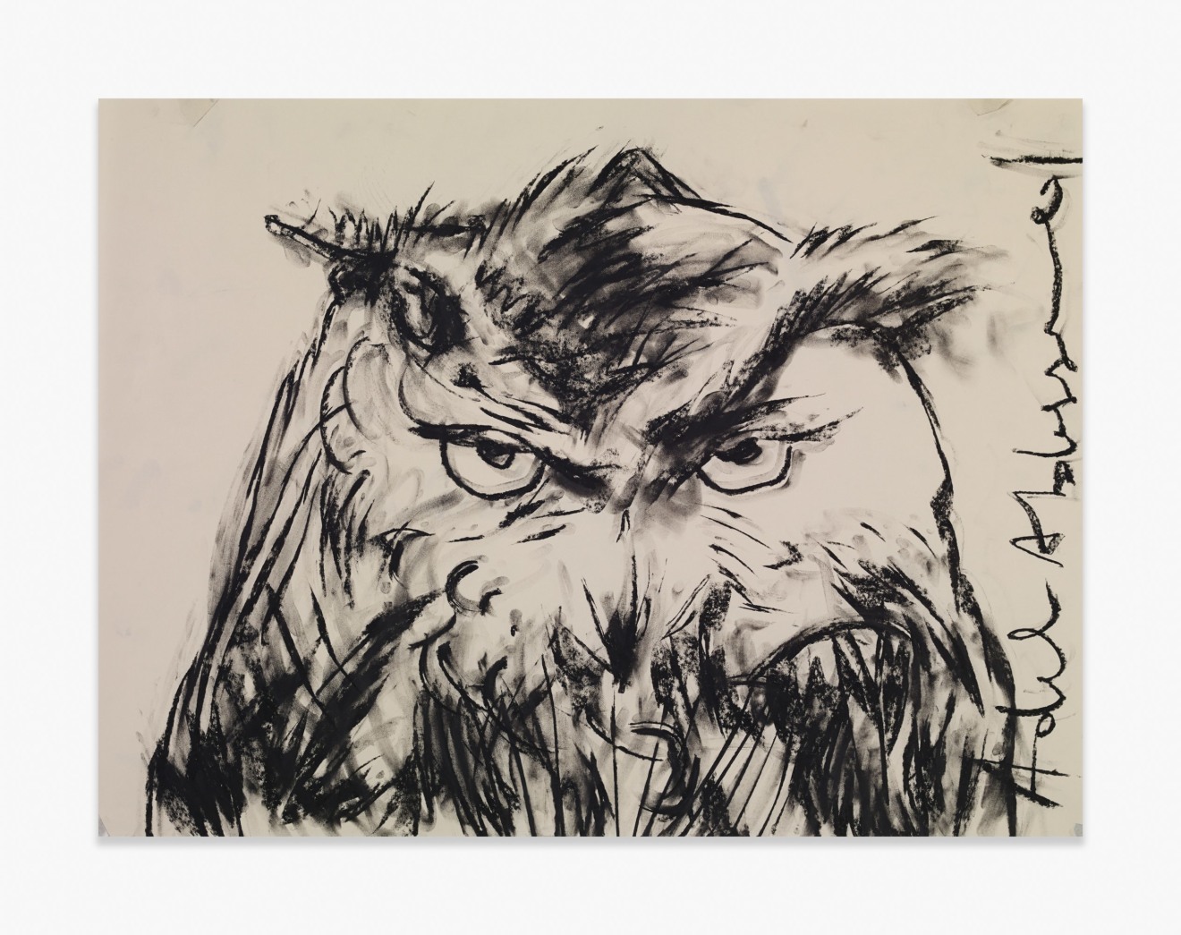 Adel Abdessemed Owl, 2015