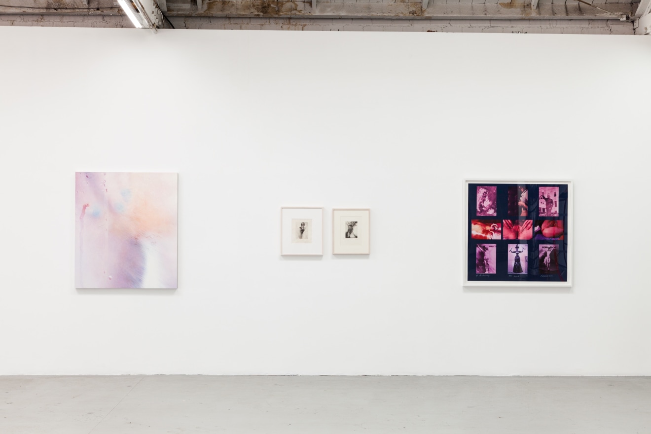 Installation view of CUNT, Los Angeles, Venus Over Los Angeles, 2017