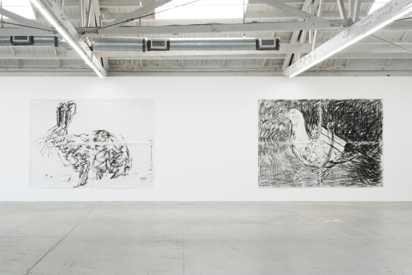 Installation view of Adel Abdessemed: From Here to Eternity, Los Angeles, Venus Over Los Angeles, 2015