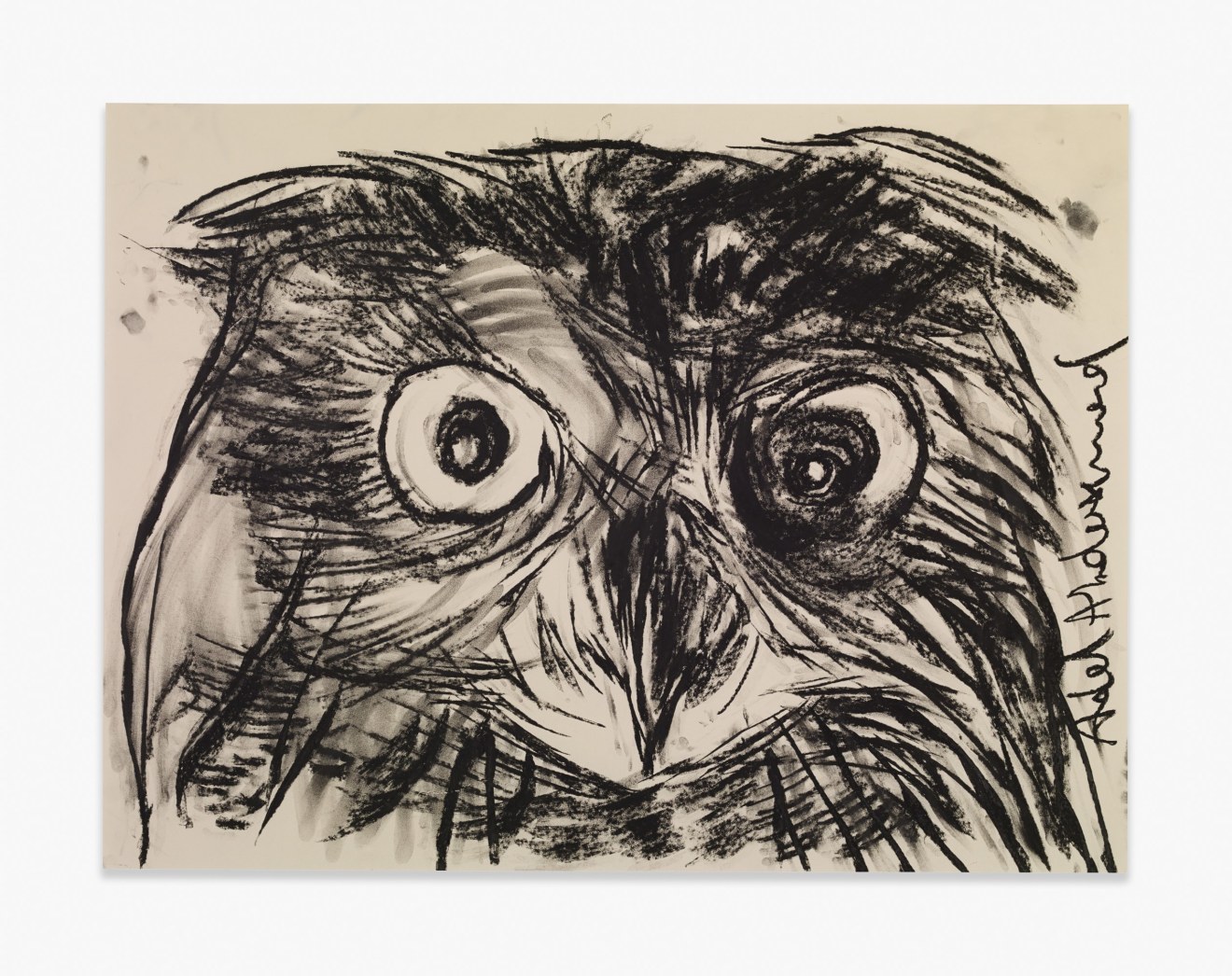 Adel Abdessemed Owl, 2015