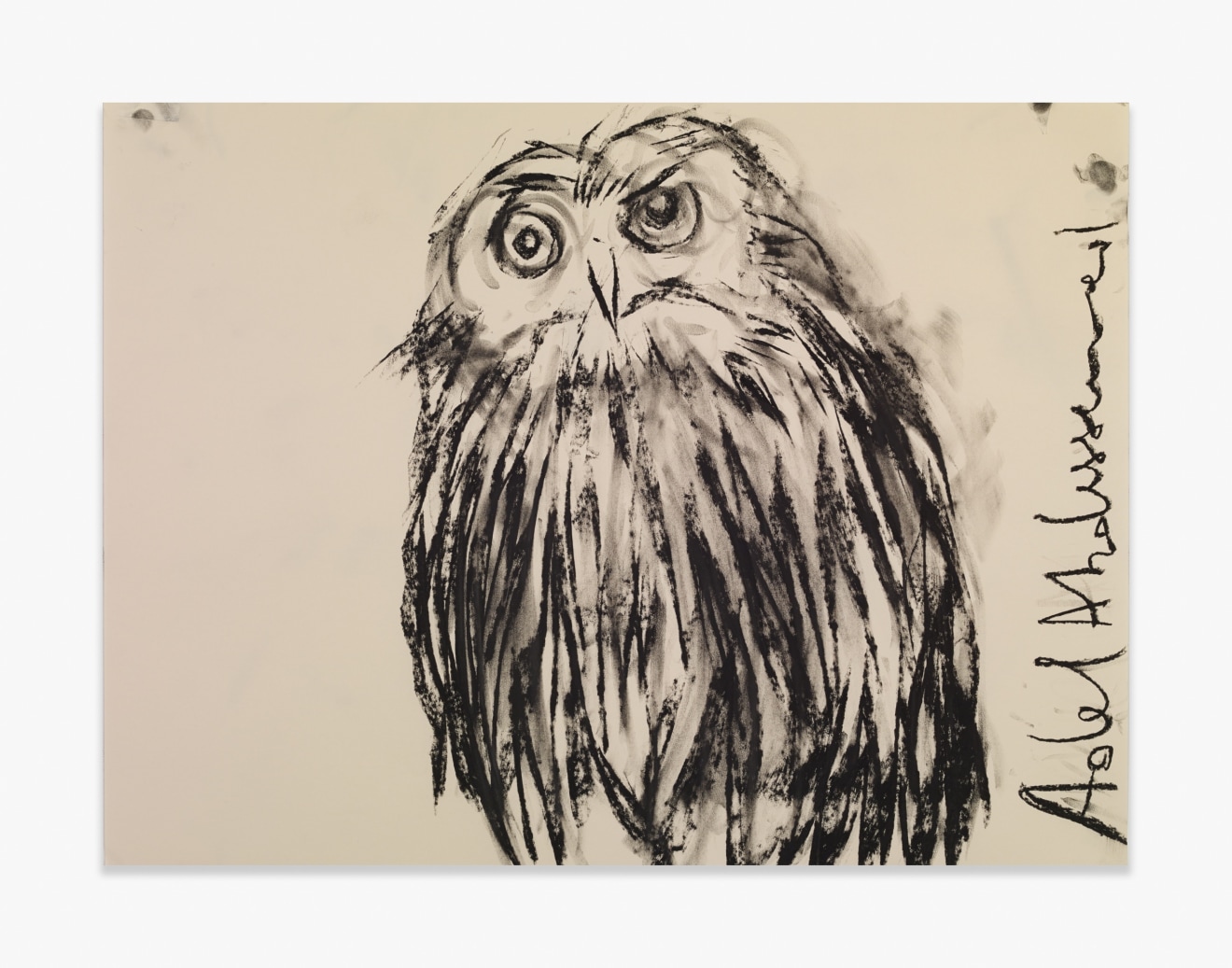 Adel Abdessemed Owl, 2015