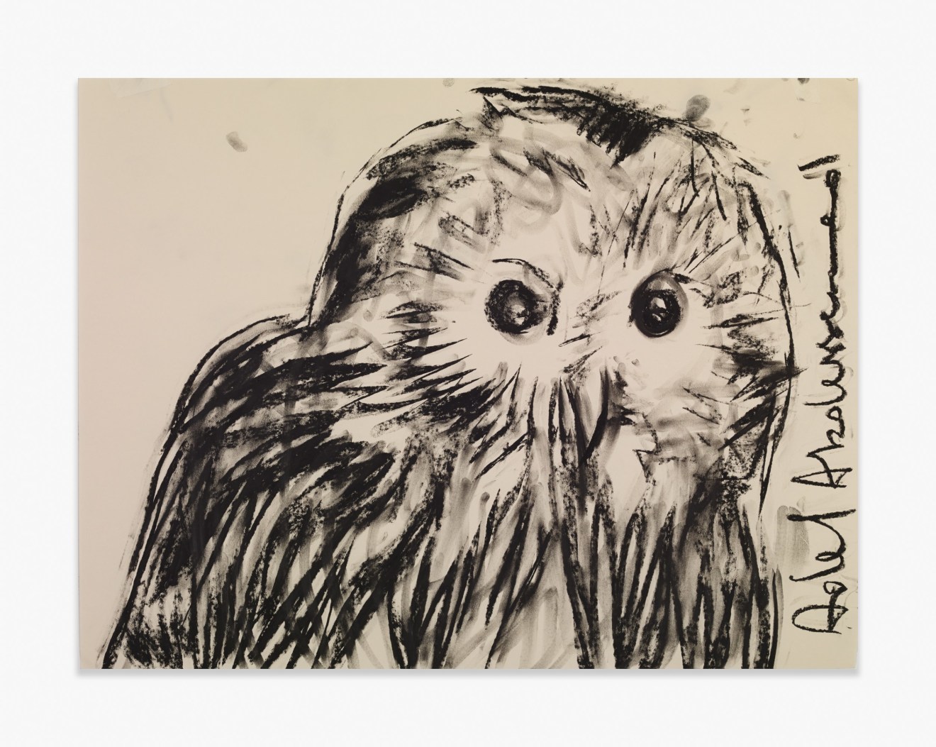 Adel Abdessemed Owl, 2015