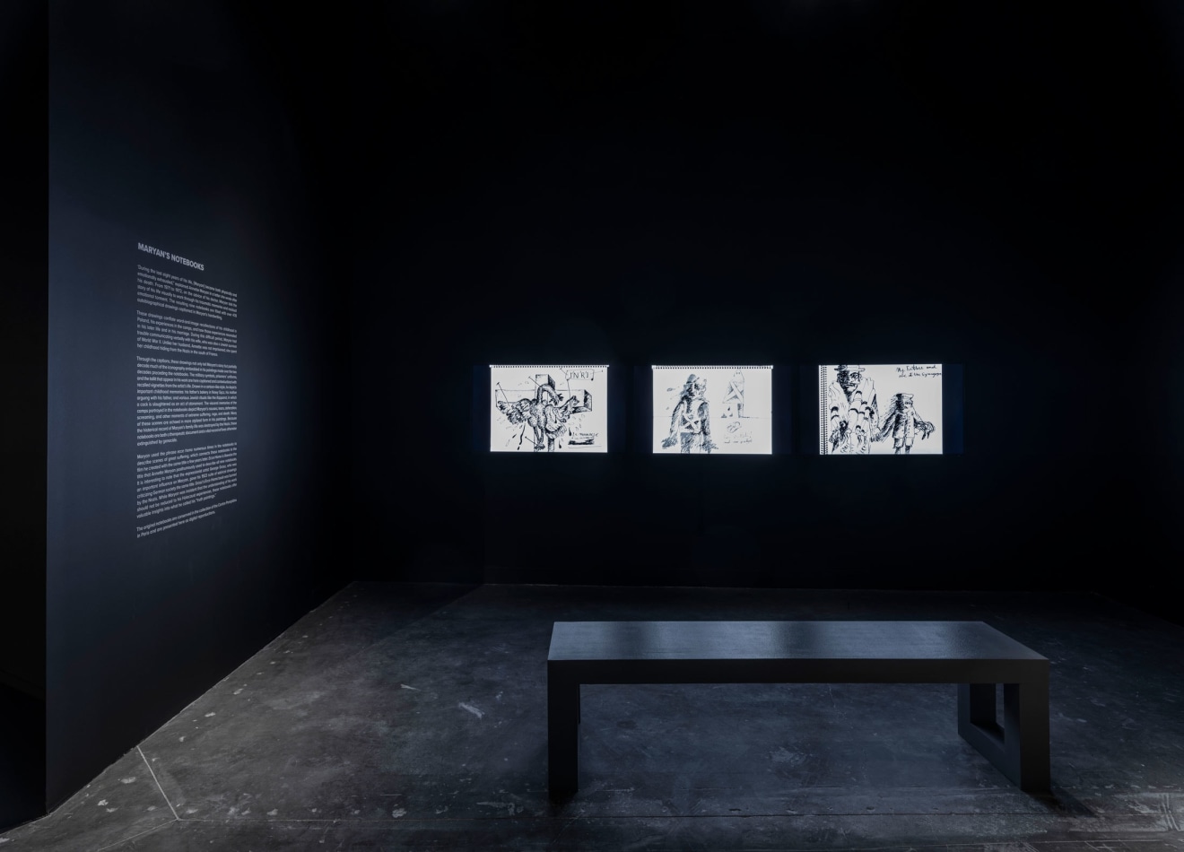 Installation image of the exhibition titled My Name is Maryan curated by Alison M. Gingeras at the Museum of Contemporary Art, North Miami