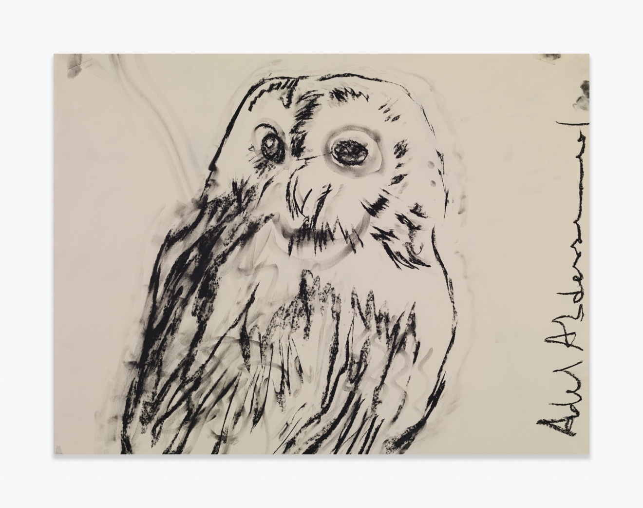 Adel Abdessemed Owl, 2015