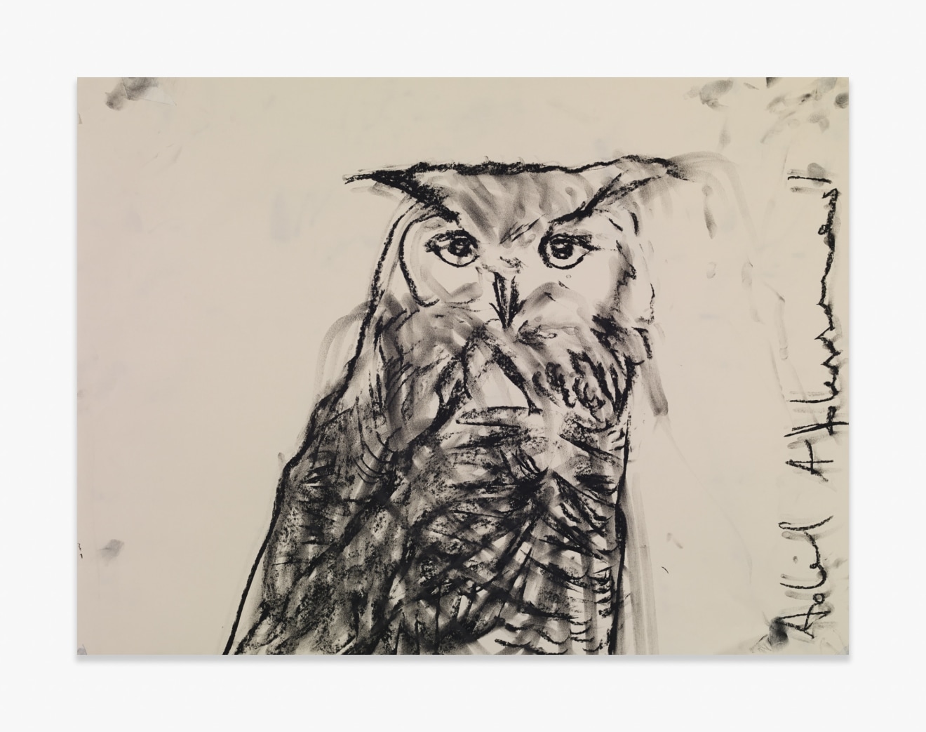 Adel Abdessemed Owl, 2015