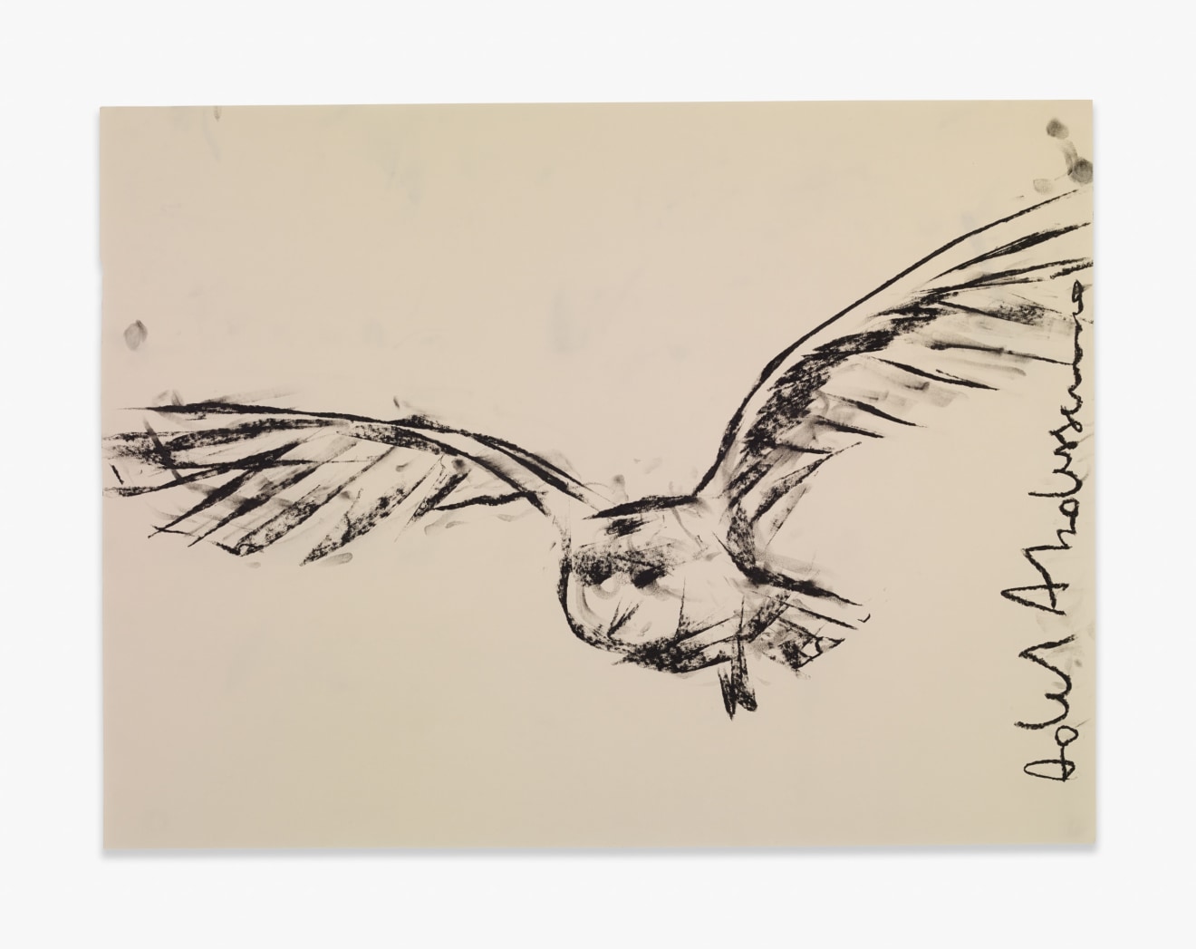 Adel Abdessemed Owl, 2015