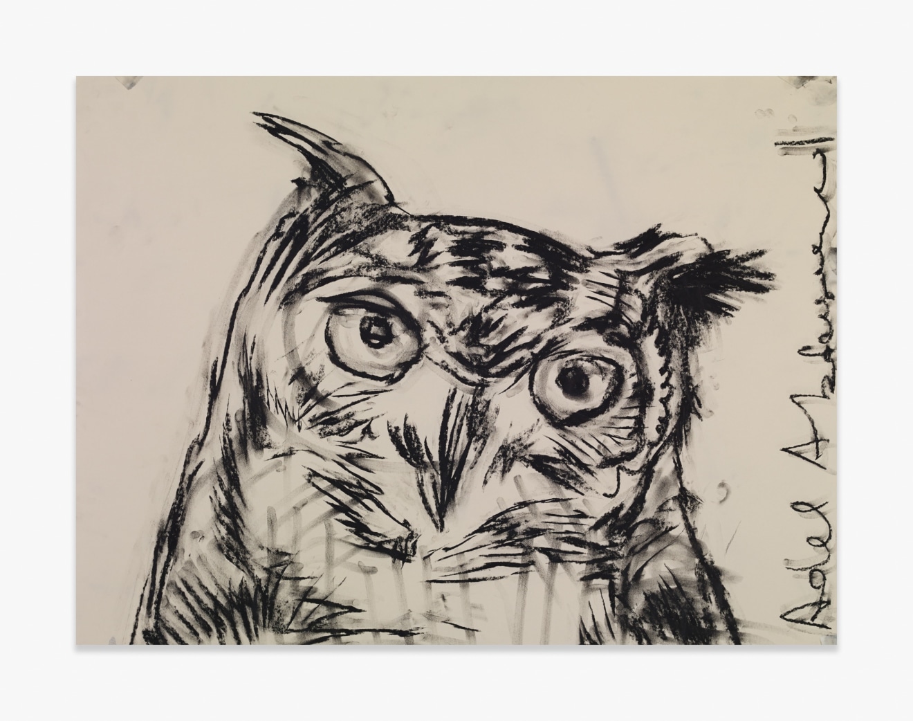 Adel Abdessemed Owl, 2015