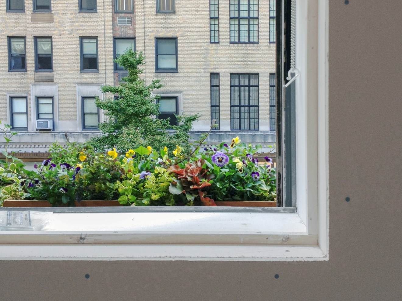 Peter Coffin Untitled (Planter Boxes)