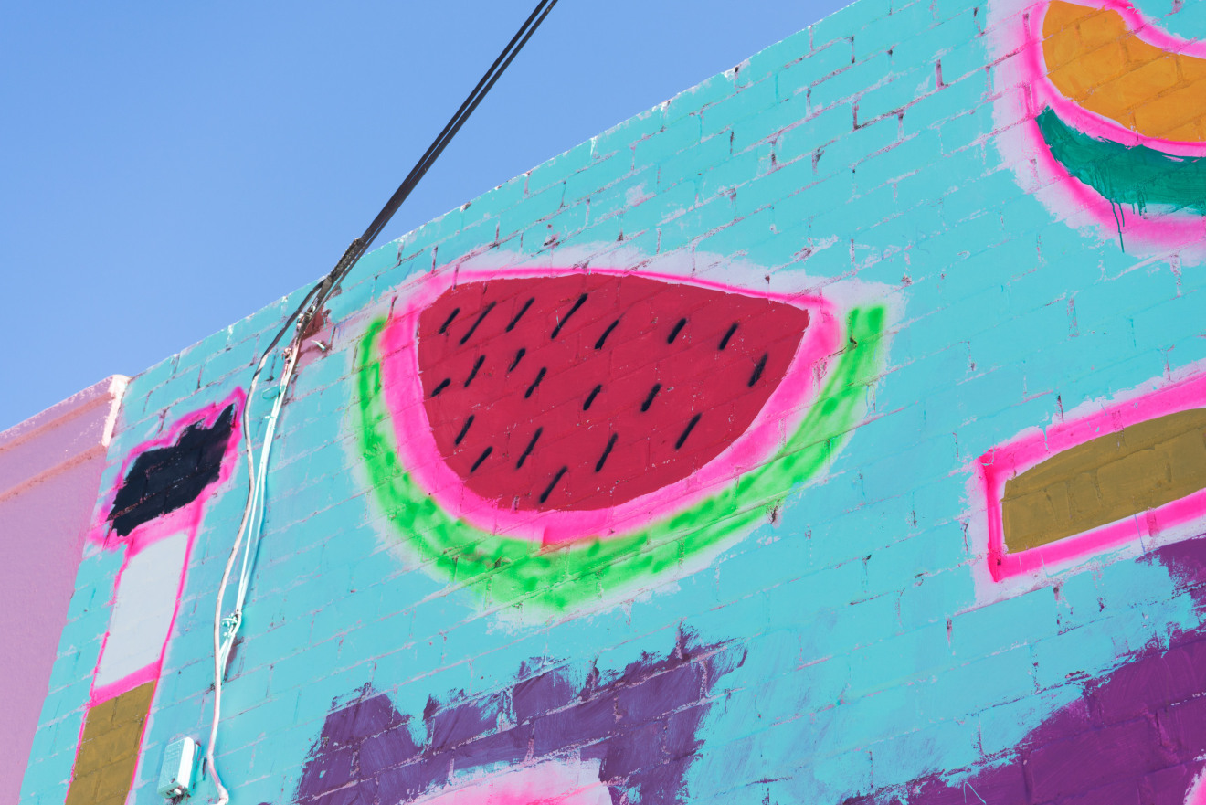 Installation view of Katherine Bernhardt: Fruit Salad, Venus Over Los Angeles, Los Angeles, 2015