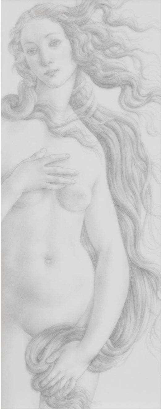 Untitled, 2013, Graphite on Mylar