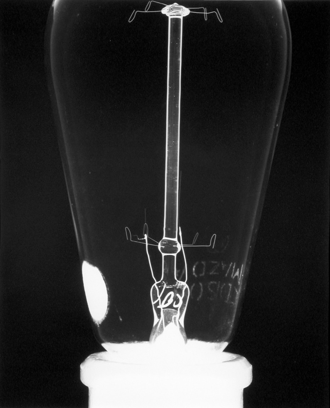 Amanda Means, Light Bulb 200