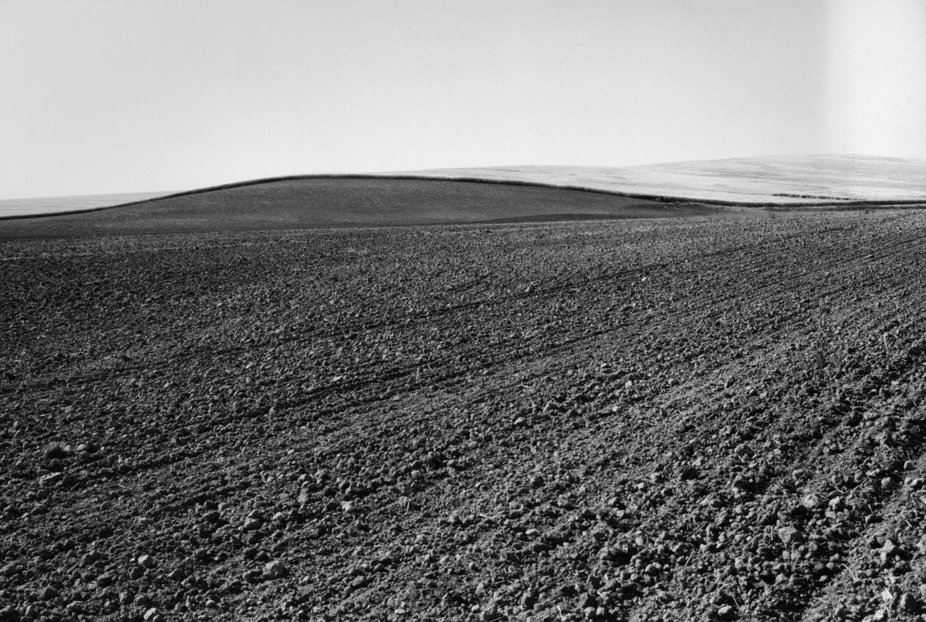 Near Davenport, Lincoln County, Washington, 1980