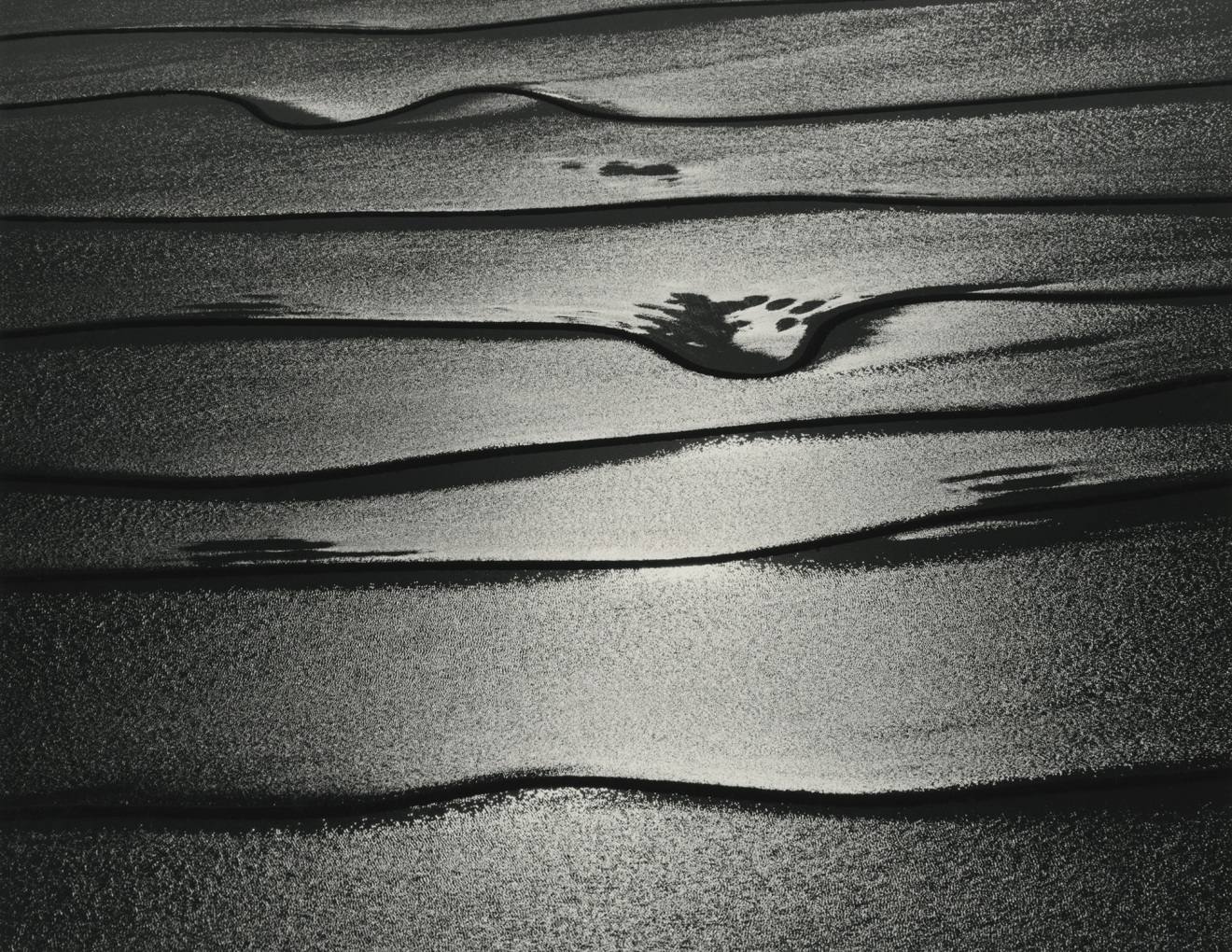 Reflection of the Sun on Rice Field, Woodland CA, 1979