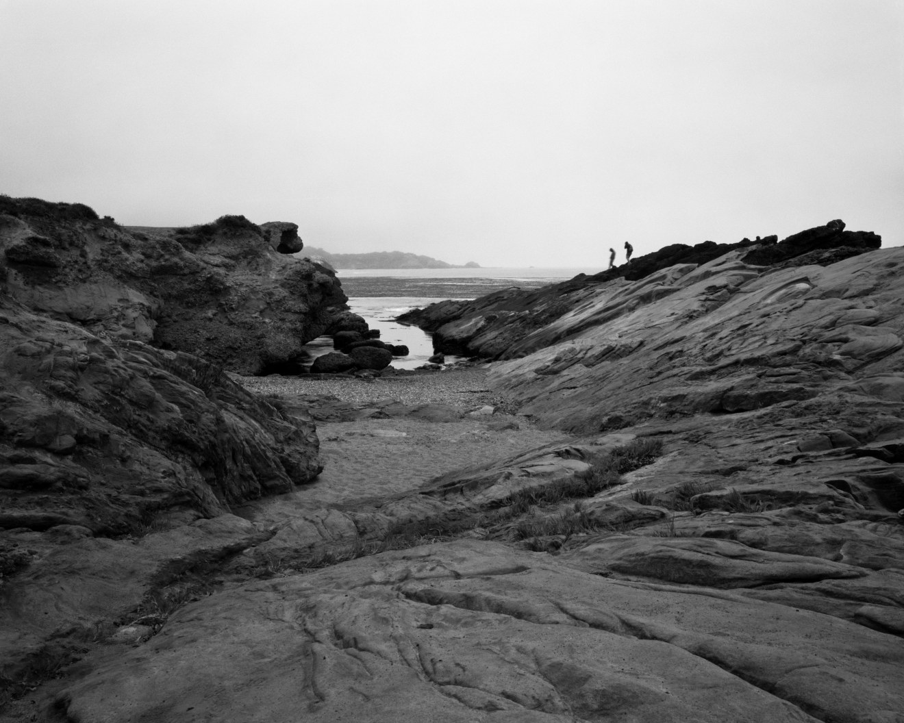 Point Lobos State Marine Reserve, 2014