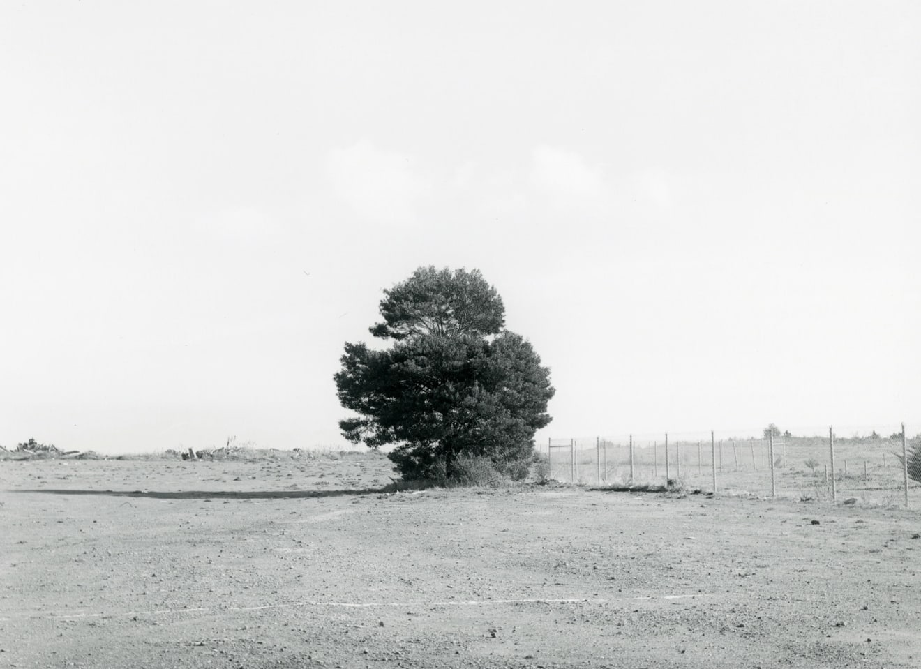 Lewis Baltz, Candlestick Point, #59