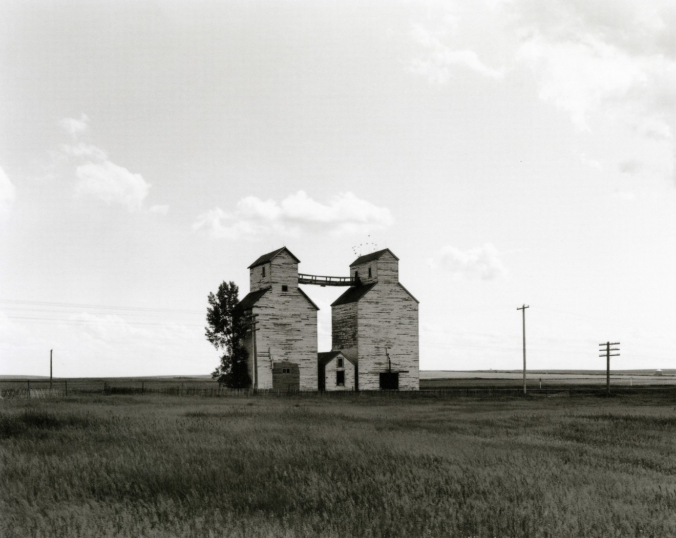 Wheelock, 1981 gelatin silver print