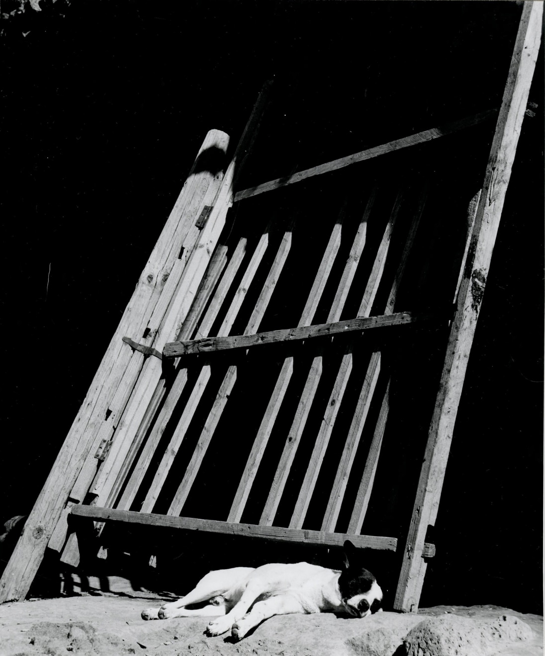 Los Perros durmiendo ladran / Sleeping Dogs Bark, 1966