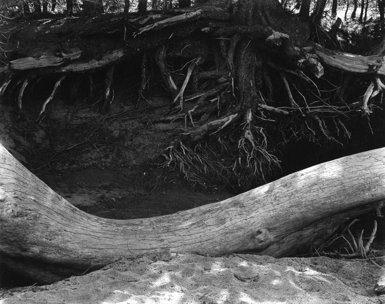 At Lake Tenaya, 1937