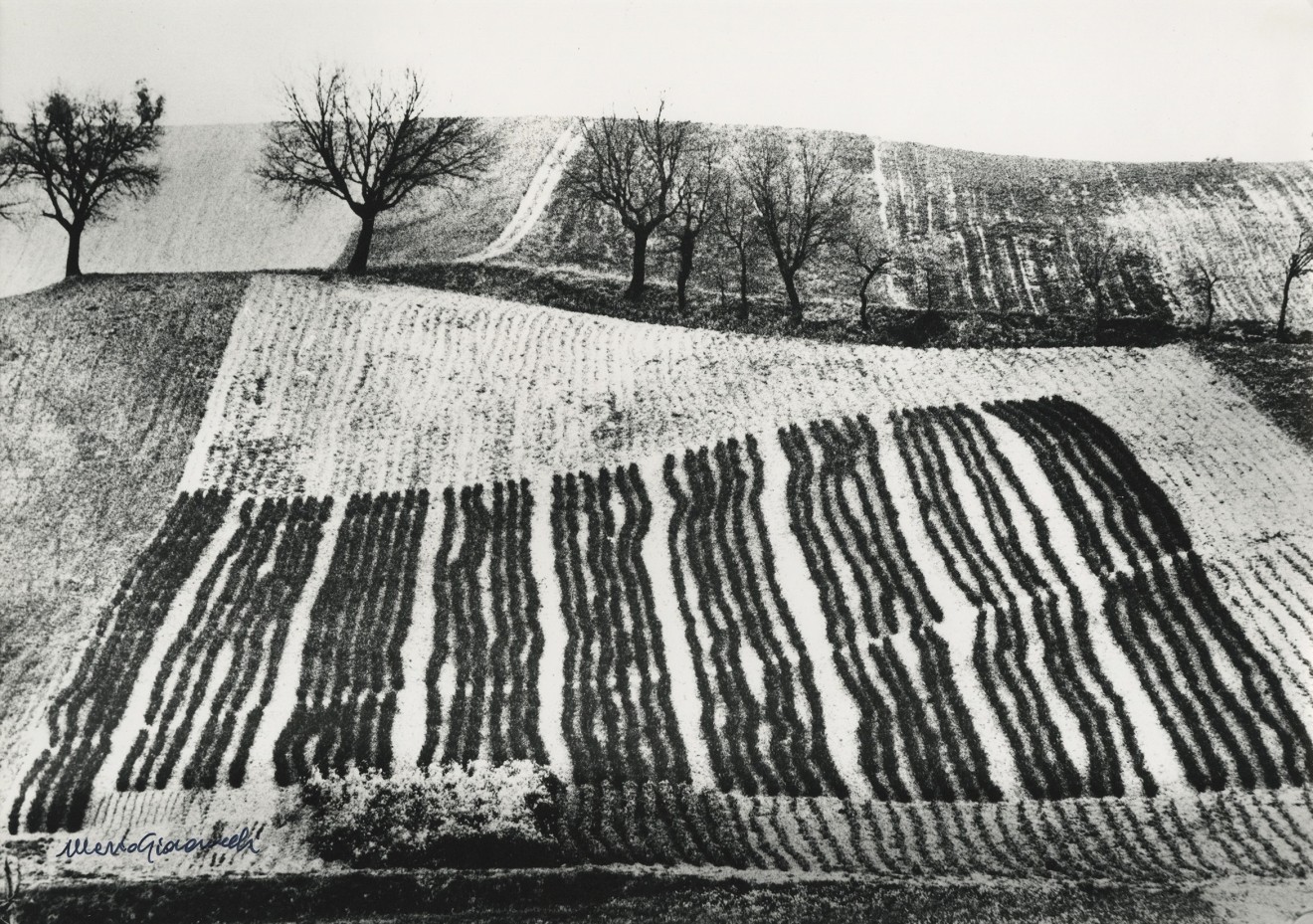 Awareness of Nature/Presa di coscienza sulla natura, 1979