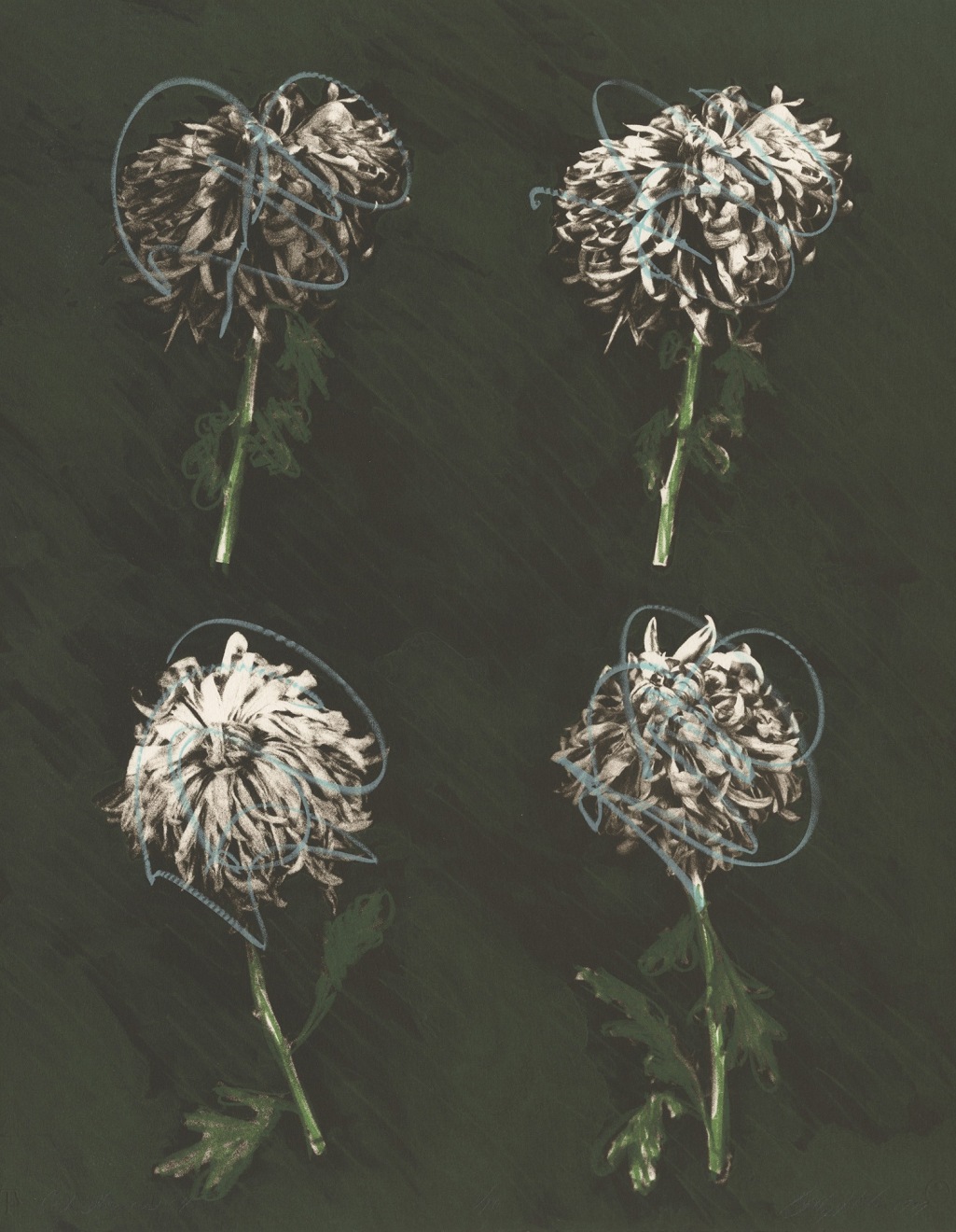 Cut Flowers 4, 1979