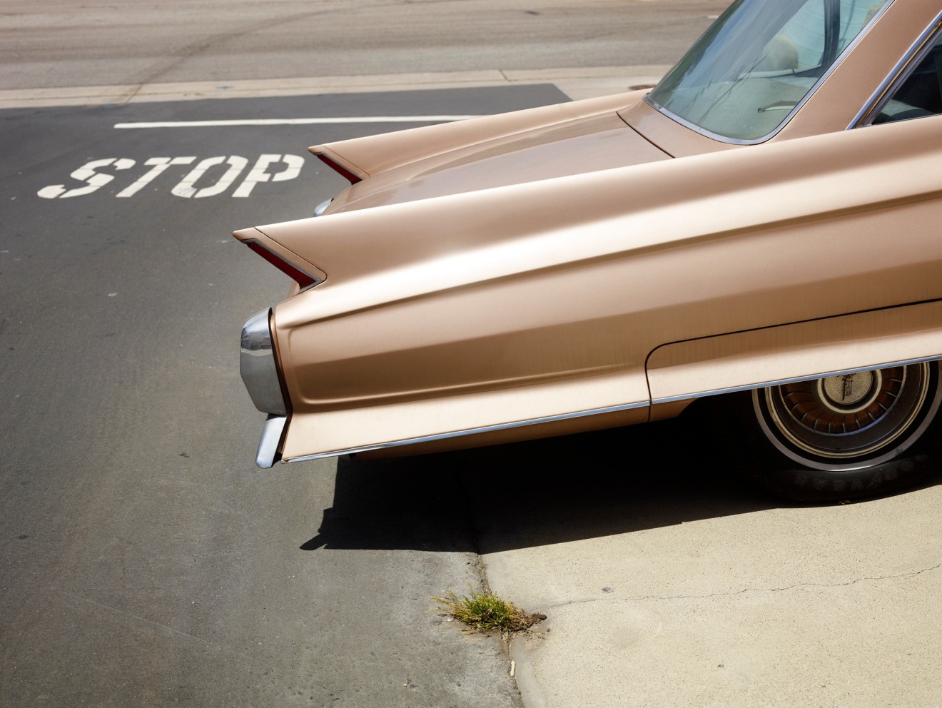 Tail Fin, Manhattan Beach, California, 2014