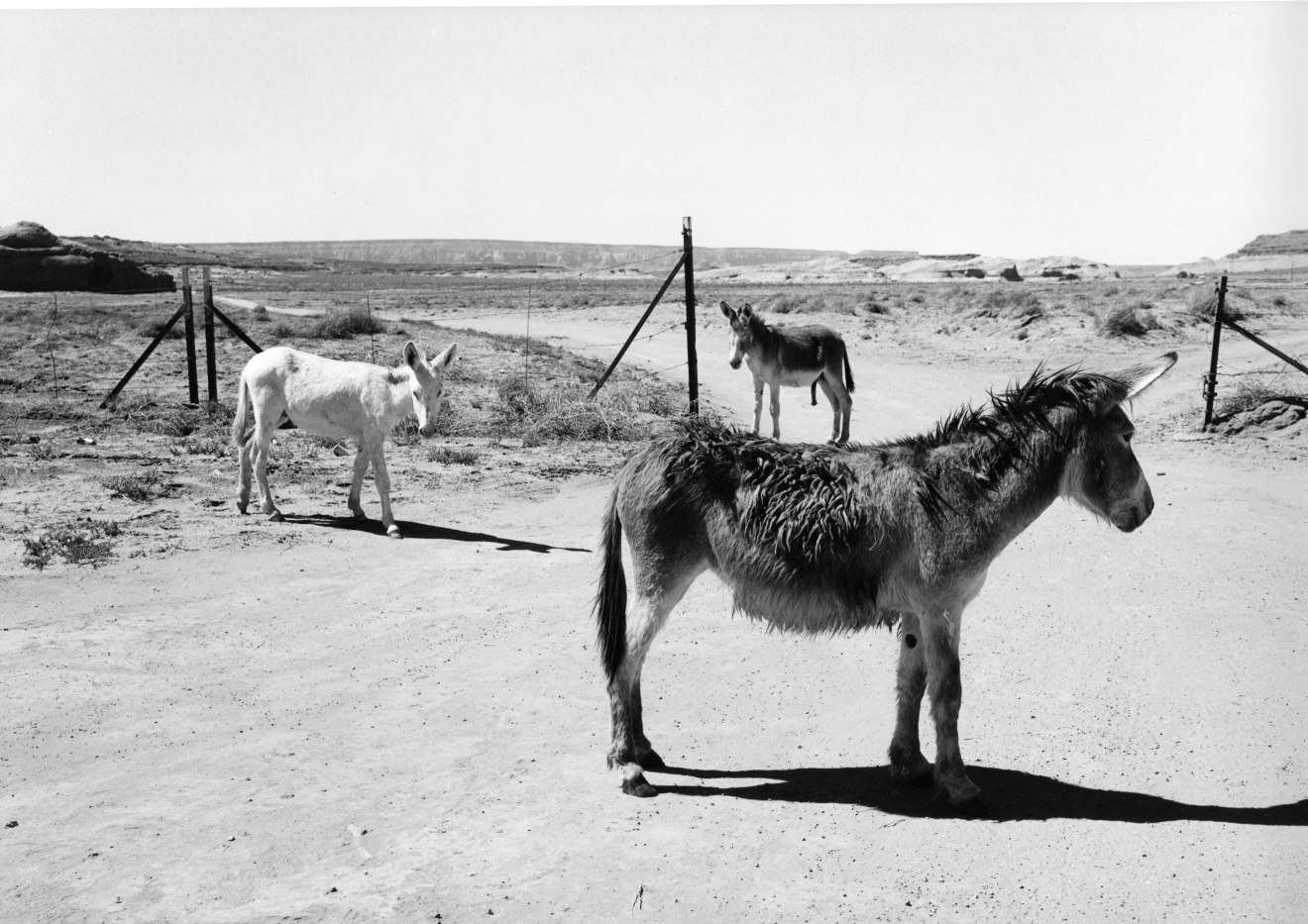 Monument Valley, Arizona-Utah, 1989