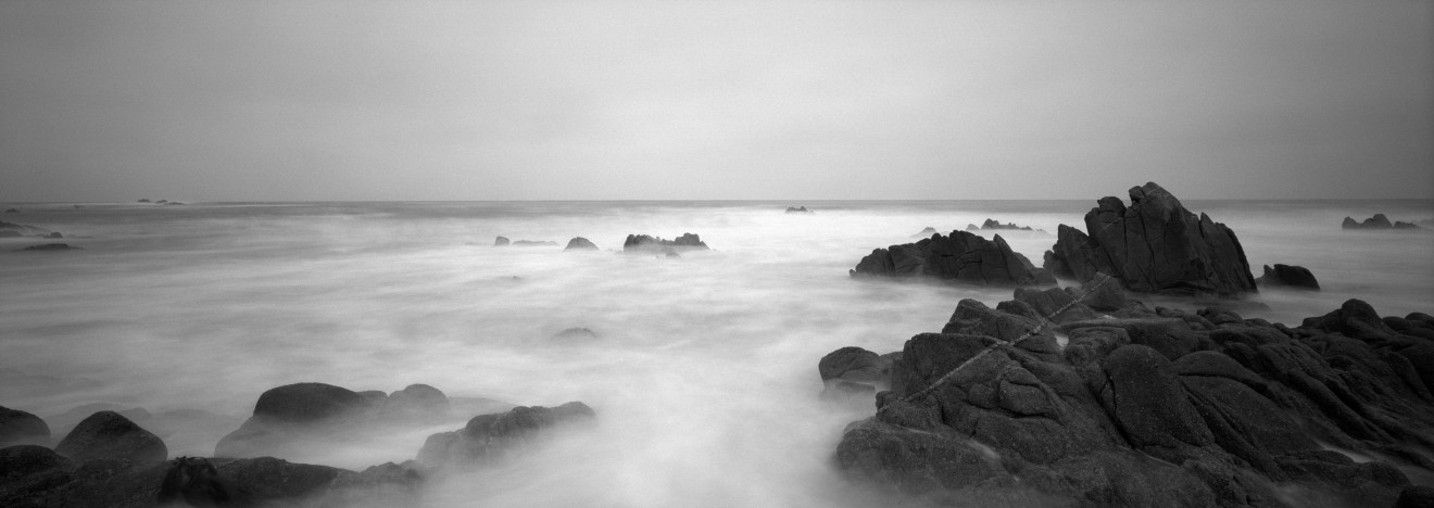 Asilomar State Marine Reserve, 2013