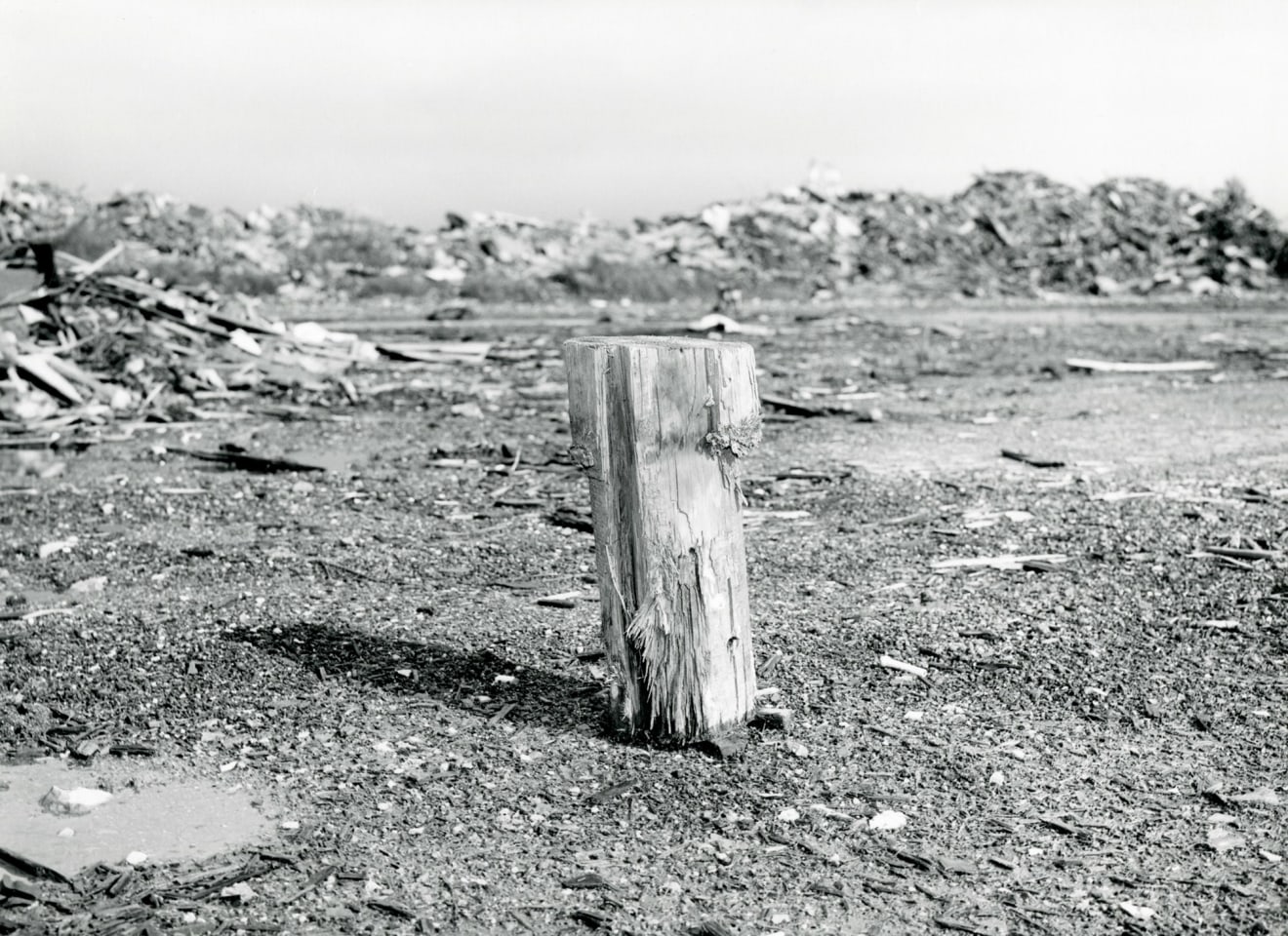 Lewis Baltz, Candlestick Point, #30