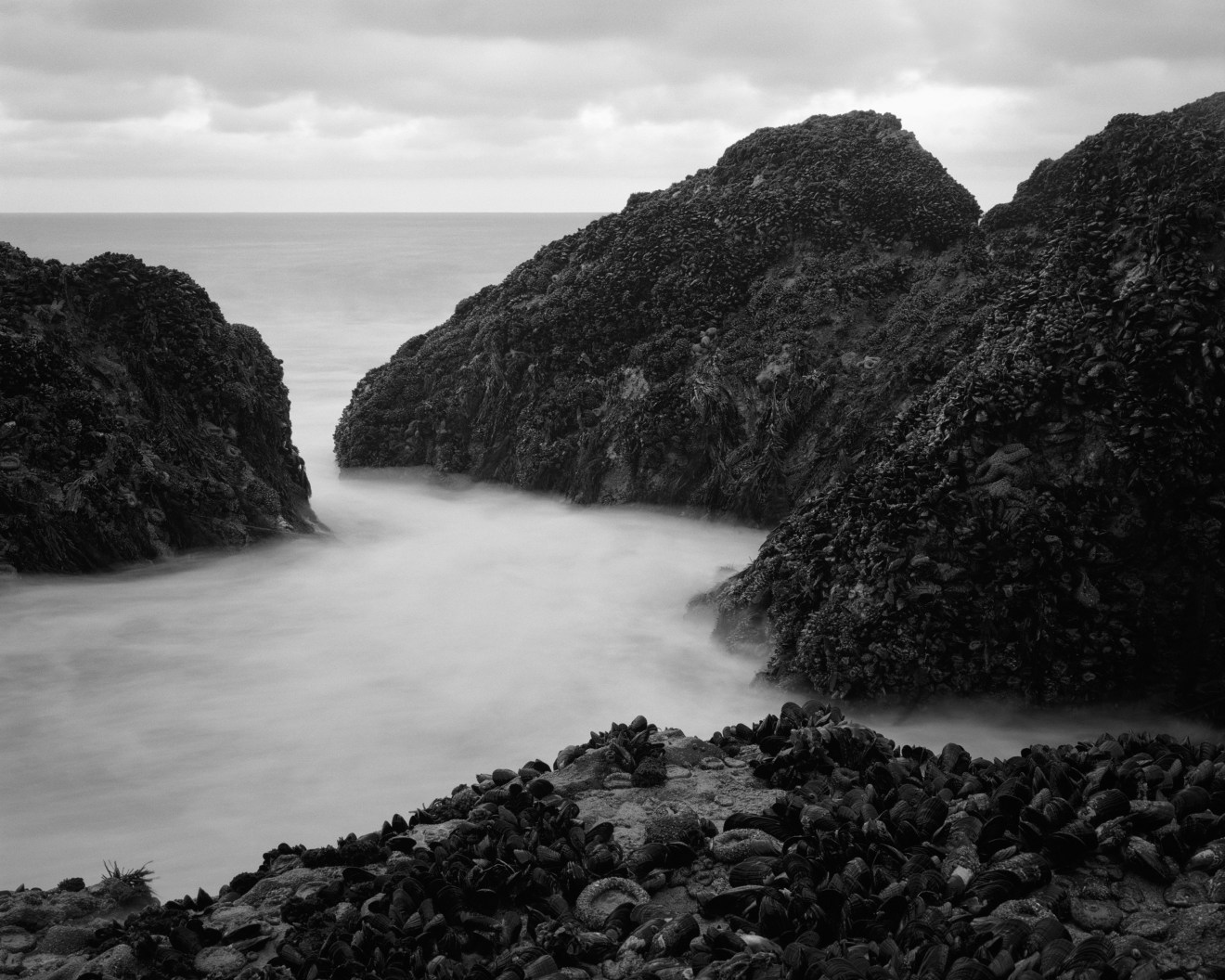 Point Dume State Marine Reserve, 2013