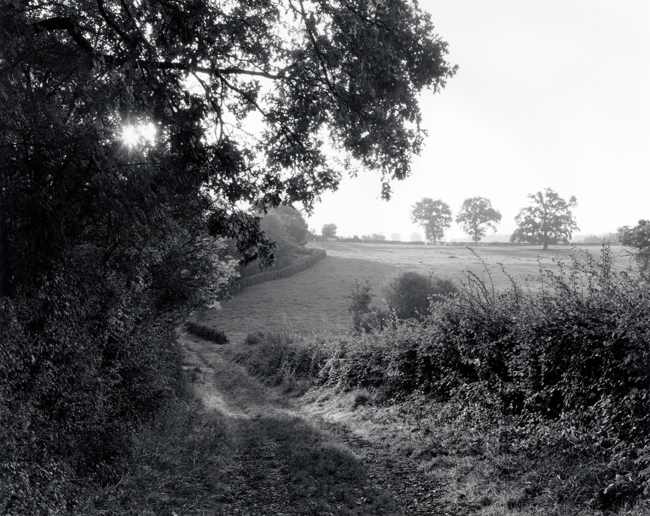 Saizy, France, #8, 2014, gelatin silver print