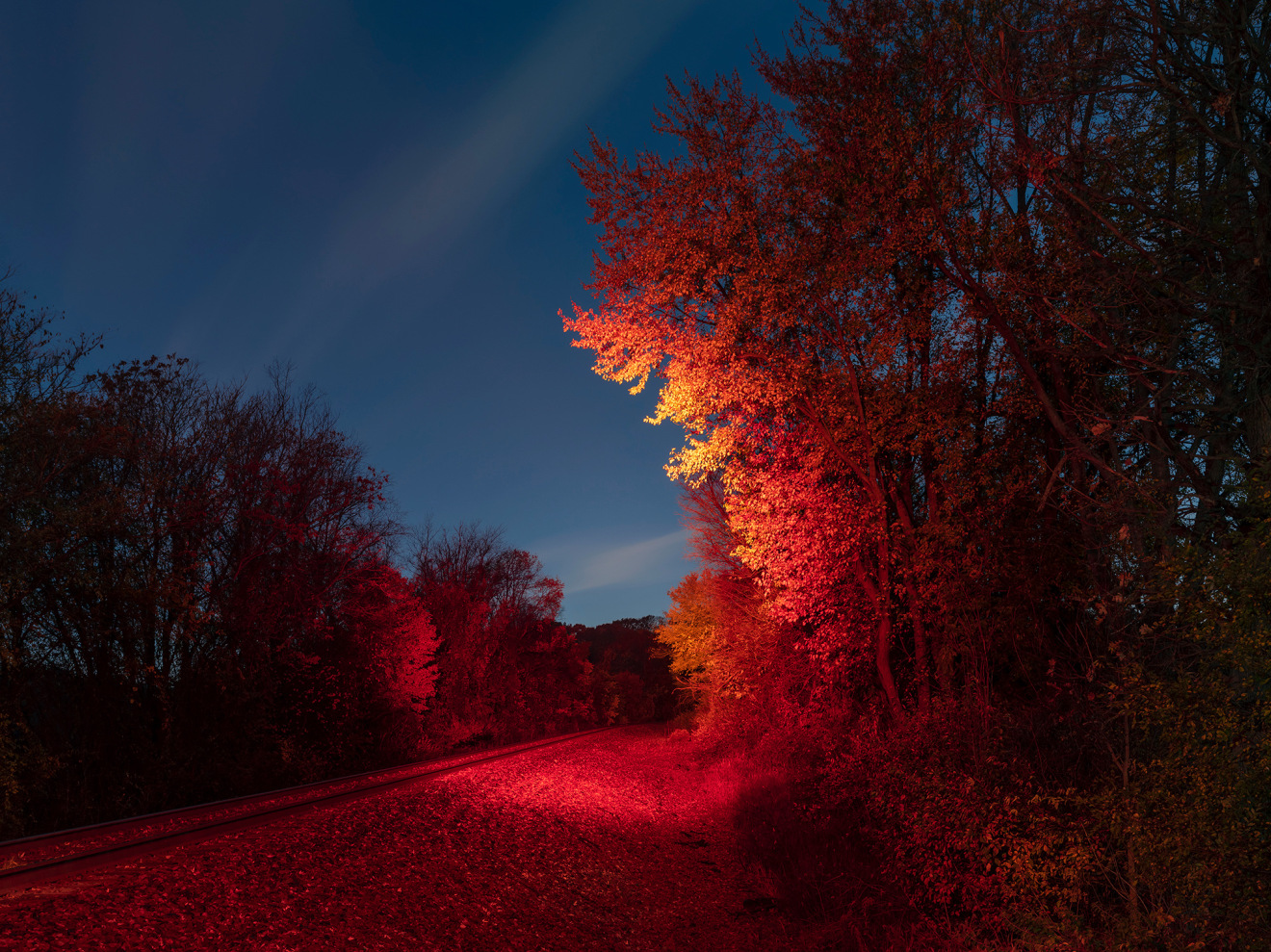 Train Crossing Light, NW Indiana, 2022