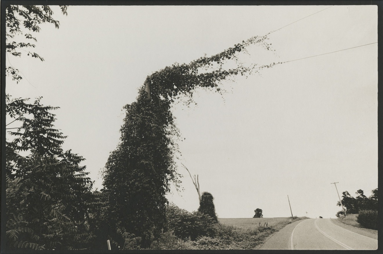 untitled, from the series, Roadwork, 1973